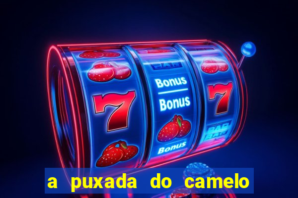 a puxada do camelo no jogo do bicho