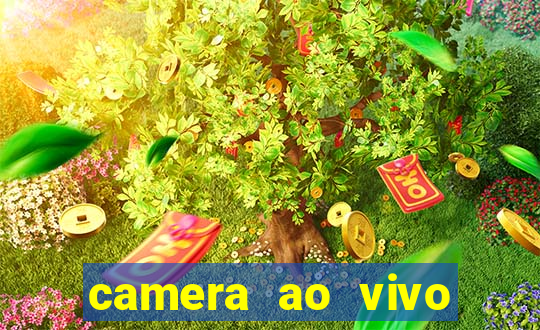 camera ao vivo aterro do flamengo