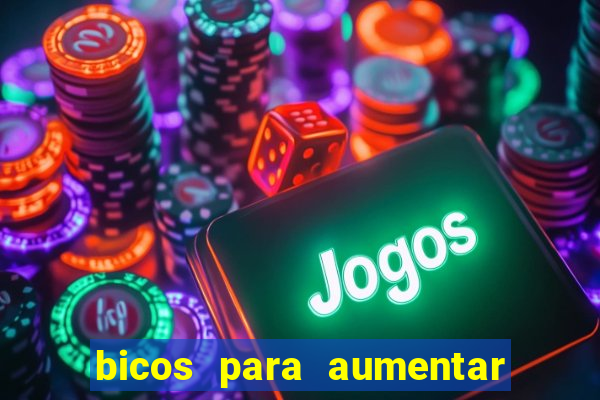 bicos para aumentar a renda