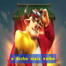 o bicho mais velho da loteria dos sonhos