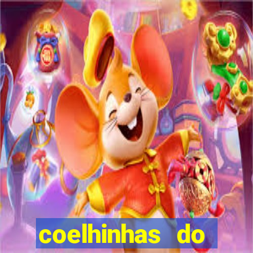 coelhinhas do brasil jp