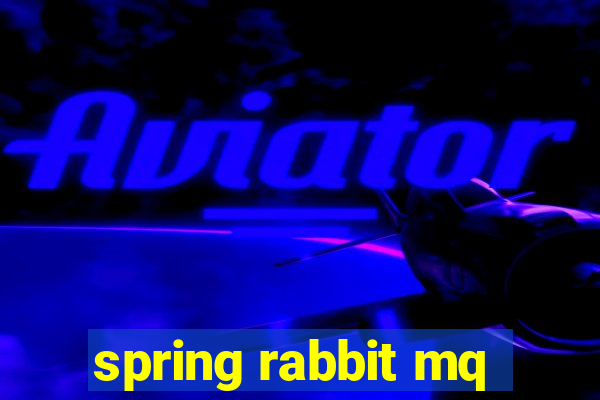 spring rabbit mq