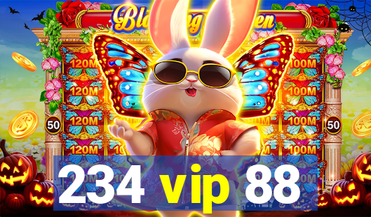 234 vip 88