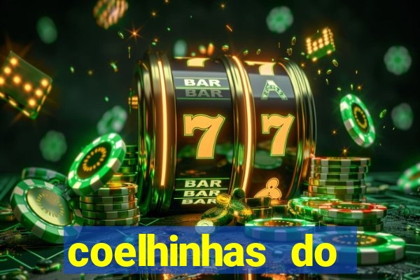 coelhinhas do brasil recife