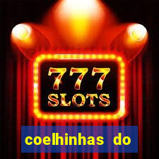 coelhinhas do brasil recife