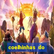 coelhinhas do brasil recife