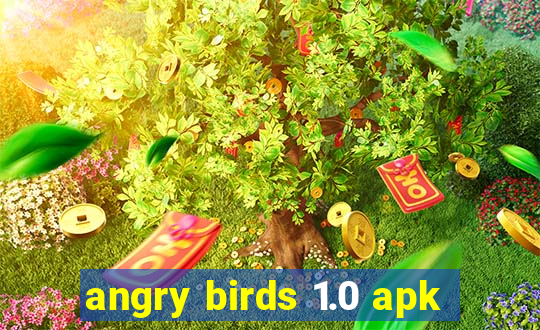 angry birds 1.0 apk