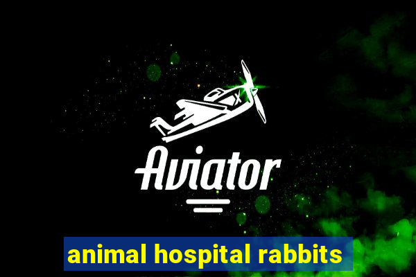 animal hospital rabbits