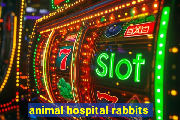 animal hospital rabbits