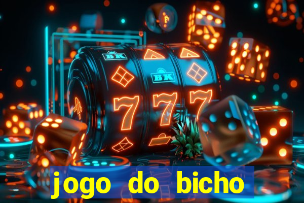 jogo do bicho crash bingo