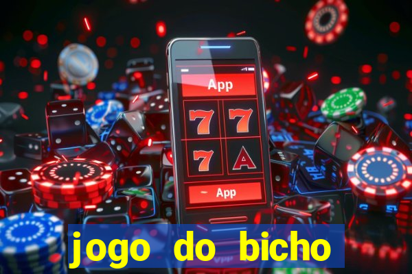 jogo do bicho crash bingo