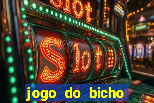 jogo do bicho crash bingo