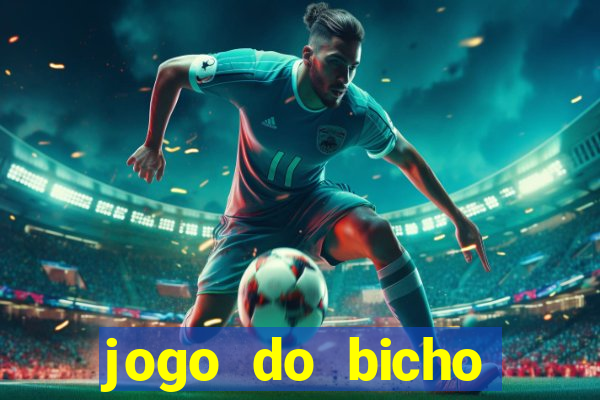 jogo do bicho crash bingo