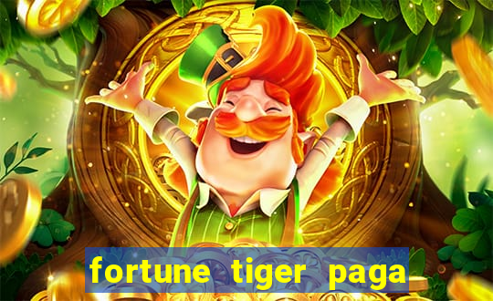 fortune tiger paga de madrugada