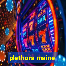 plethora maine