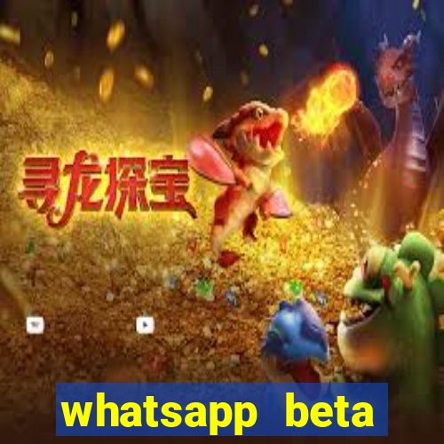 whatsapp beta mirror apk