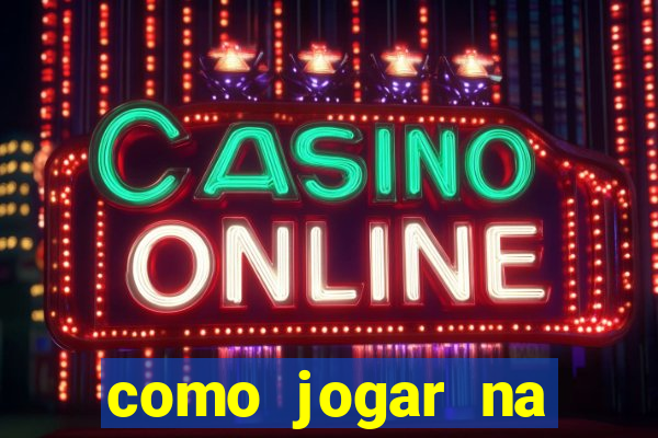 como jogar na seninha online