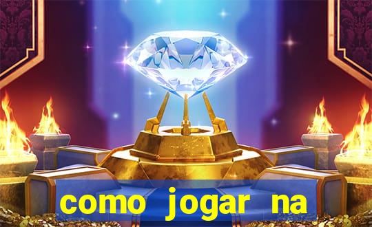 como jogar na seninha online