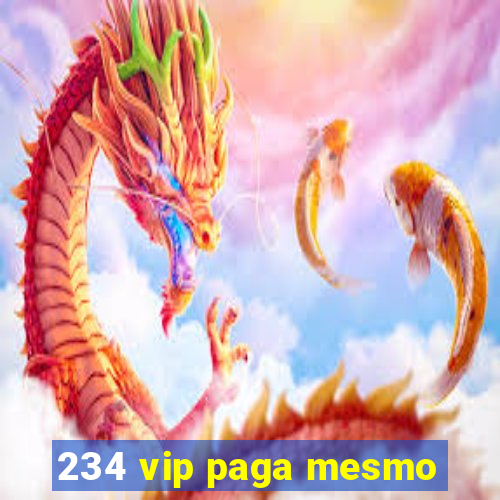 234 vip paga mesmo