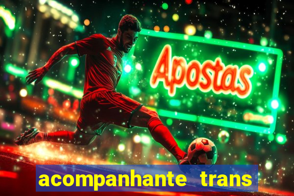 acompanhante trans em santos