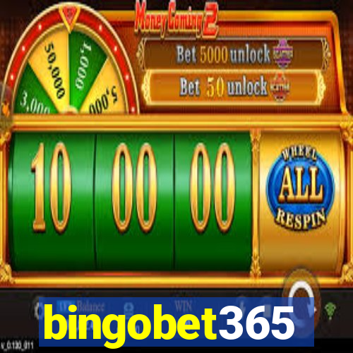 bingobet365