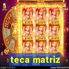 teca matriz