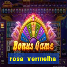 rosa vermelha (letra e cifra)