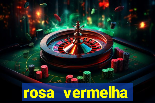 rosa vermelha (letra e cifra)