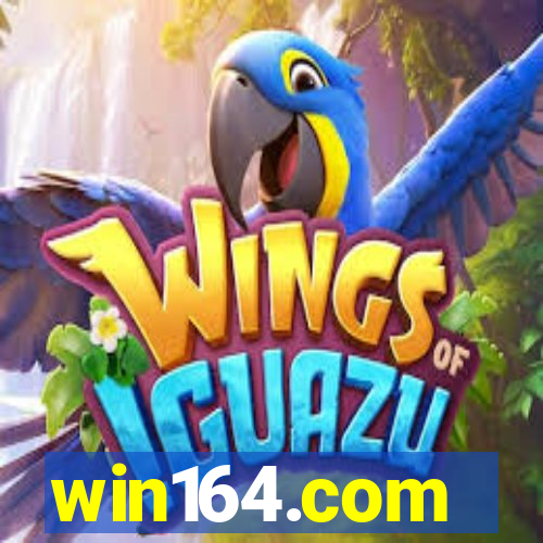 win164.com