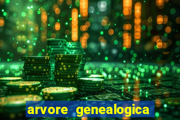 arvore genealogica dos gracie