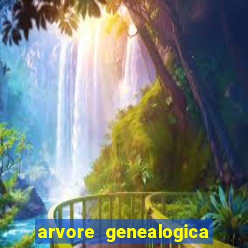 arvore genealogica dos gracie