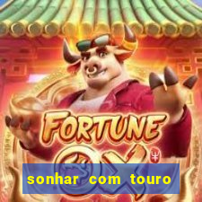 sonhar com touro bravo no mundo espiritual