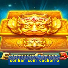 sonhar com cachorro cruzando jogo do bicho