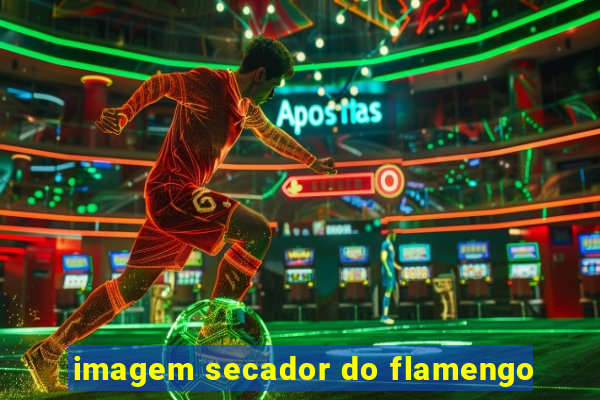 imagem secador do flamengo