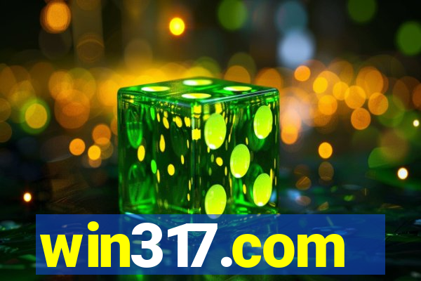 win317.com