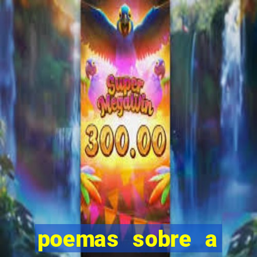 poemas sobre a bahia jorge amado