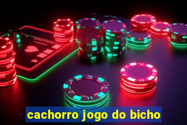 cachorro jogo do bicho