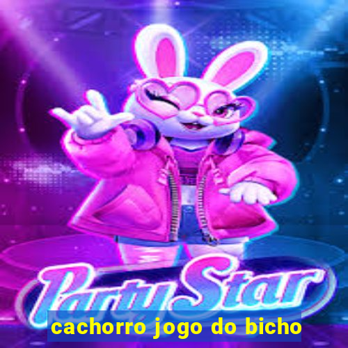 cachorro jogo do bicho