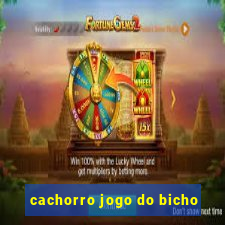 cachorro jogo do bicho