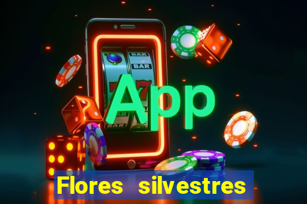 Flores silvestres brasileiras 25