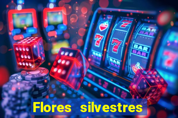 Flores silvestres brasileiras 25