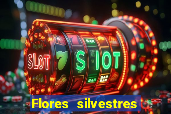 Flores silvestres brasileiras 25