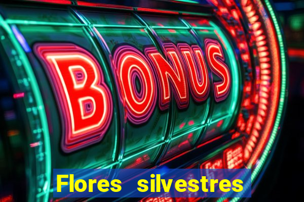 Flores silvestres brasileiras 25