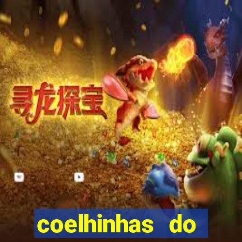 coelhinhas do brasil site