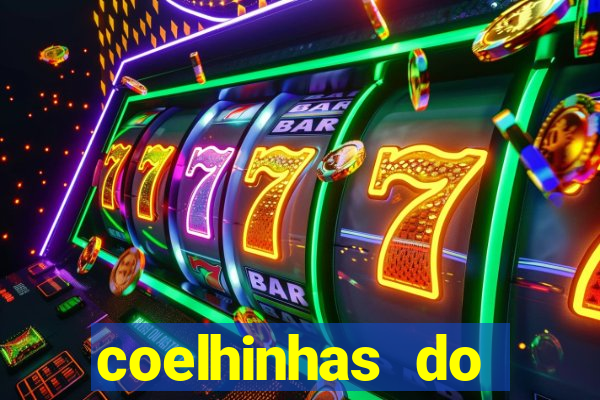 coelhinhas do brasil site