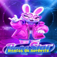 insetos do nordeste