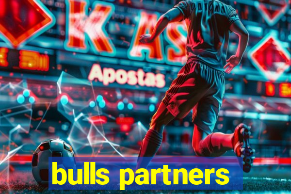 bulls partners