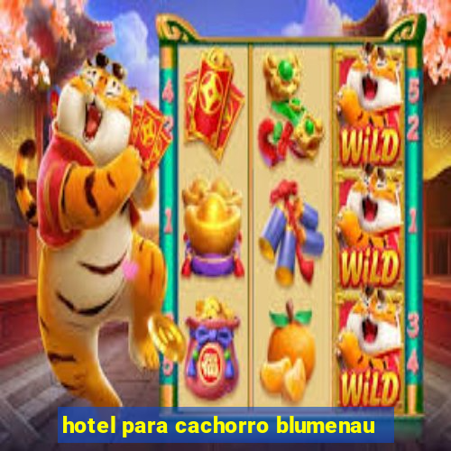 hotel para cachorro blumenau