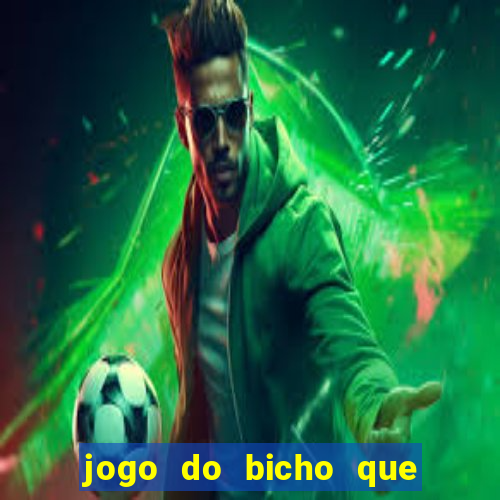 jogo do bicho que paga no pix