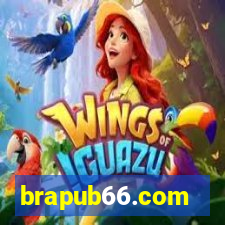 brapub66.com